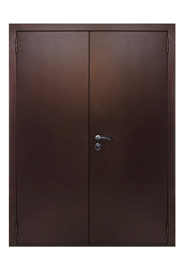 Дверь уличная металлическая двупольная типа ДМУ02 размер 1300х2100 - от завода дверей в Москве
